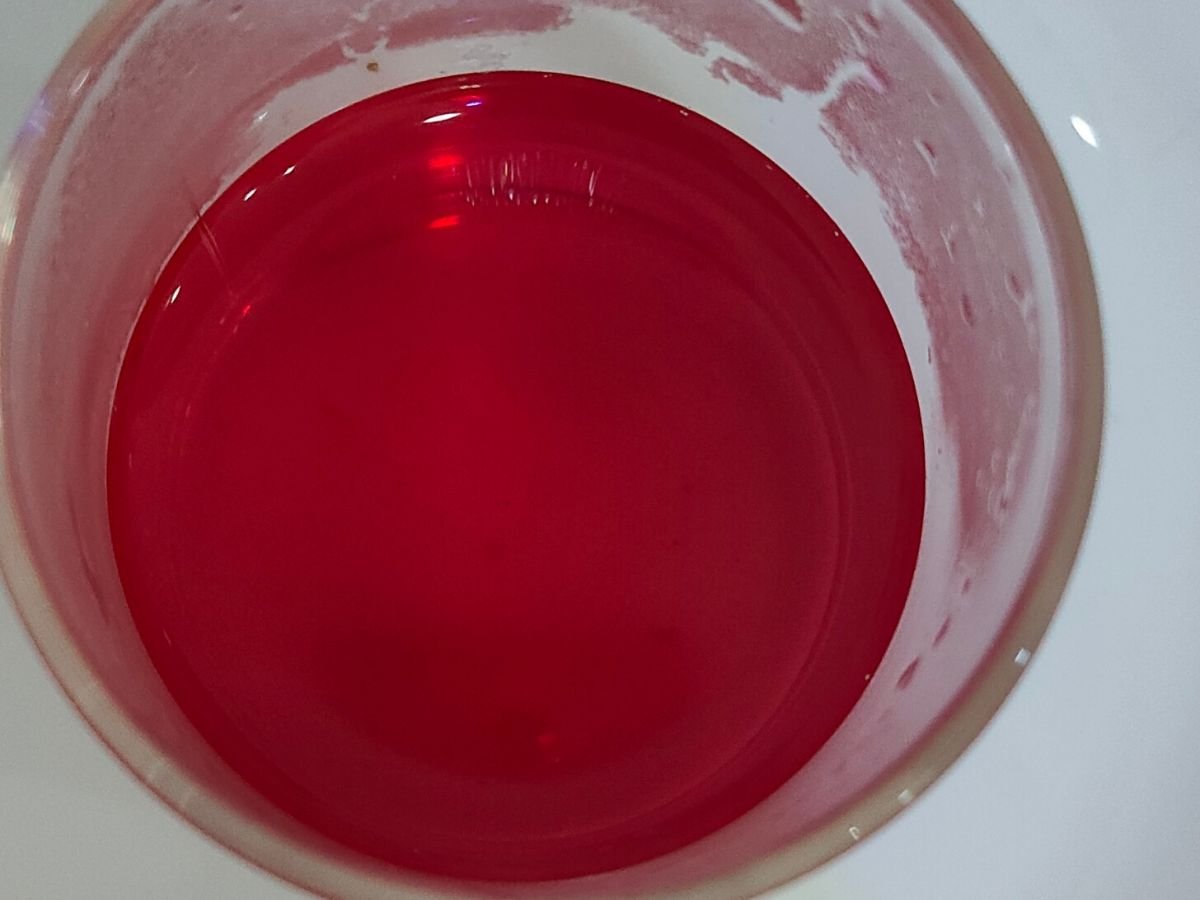 Dragon Fruit Infused Green Tea - Image 5