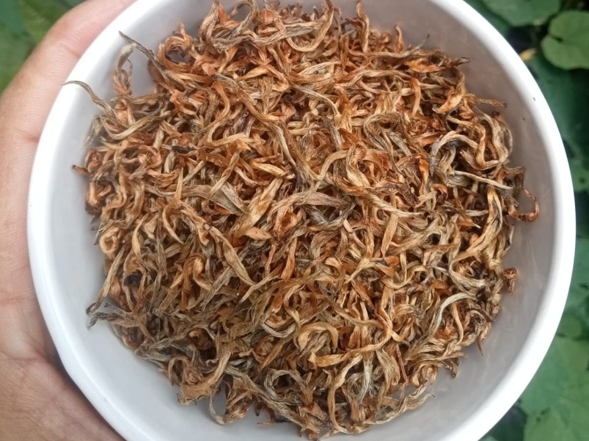 Golden Tips Premium Orthodox Black Tea - Image 2