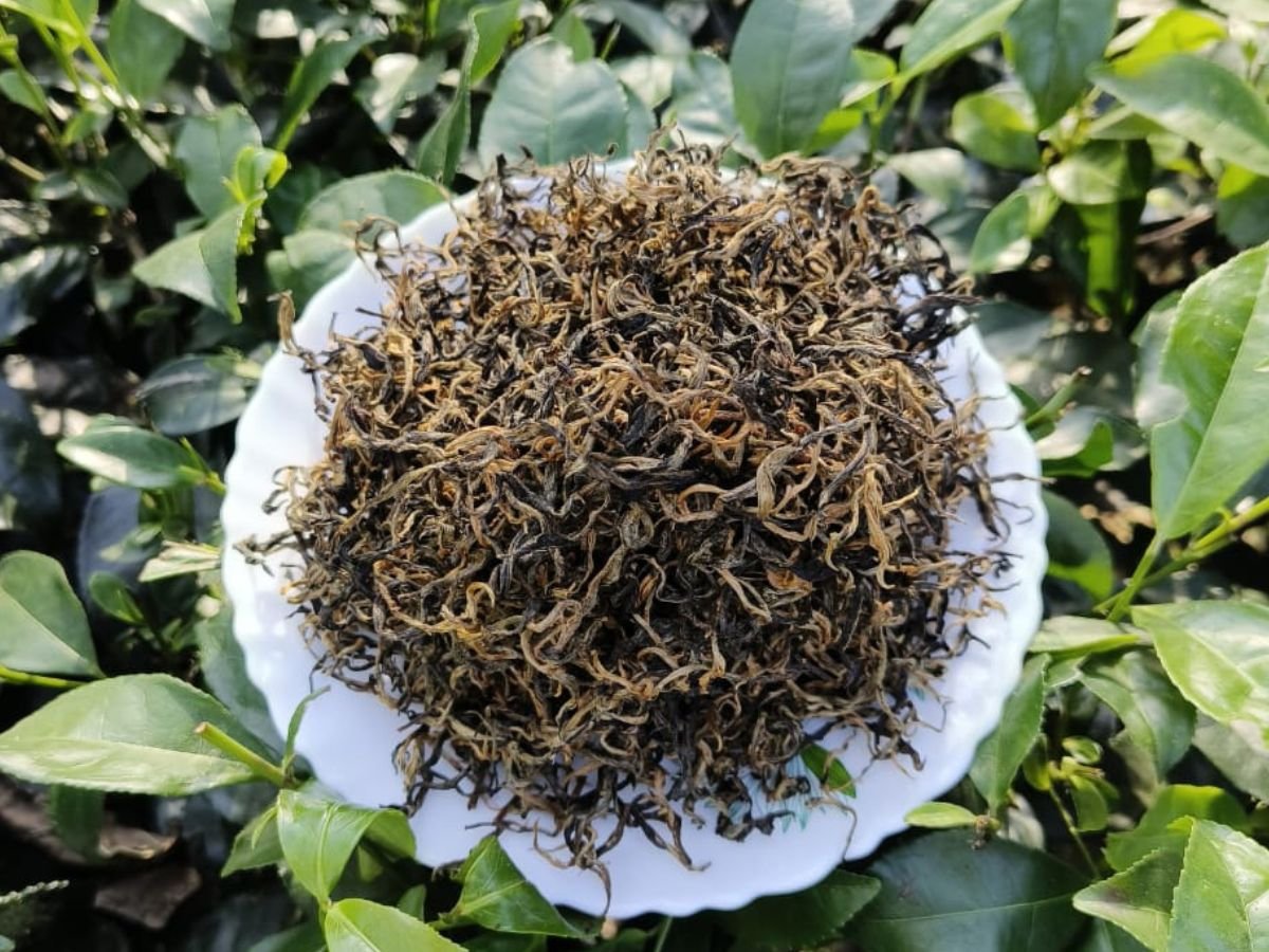 Golden Tips Orthodox Black Tea - Image 4